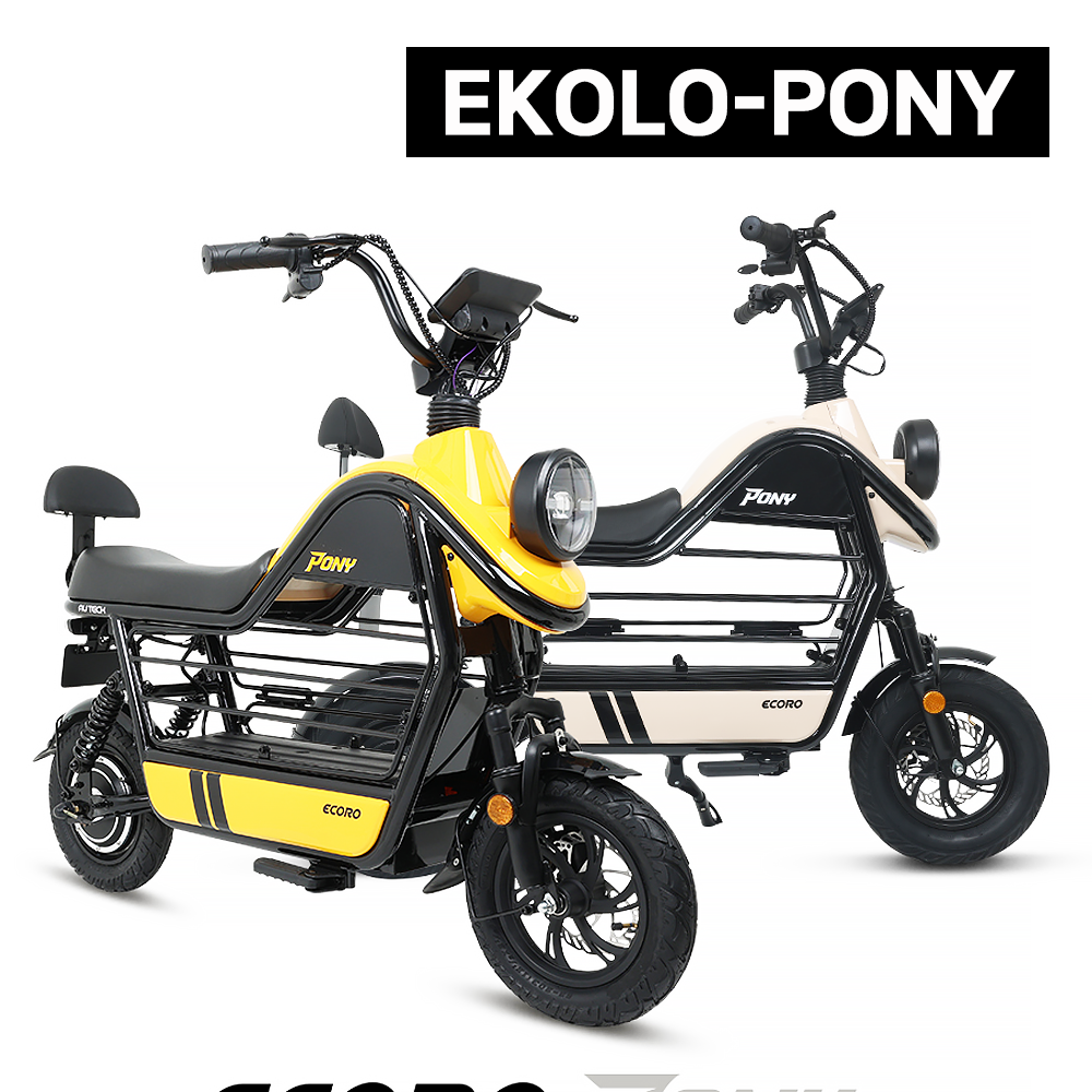 14 - AU테크 에코로PONY 여성 애견 반려견 동반 탑승 전기/전동스쿠터 48V 12AH 제품 사진